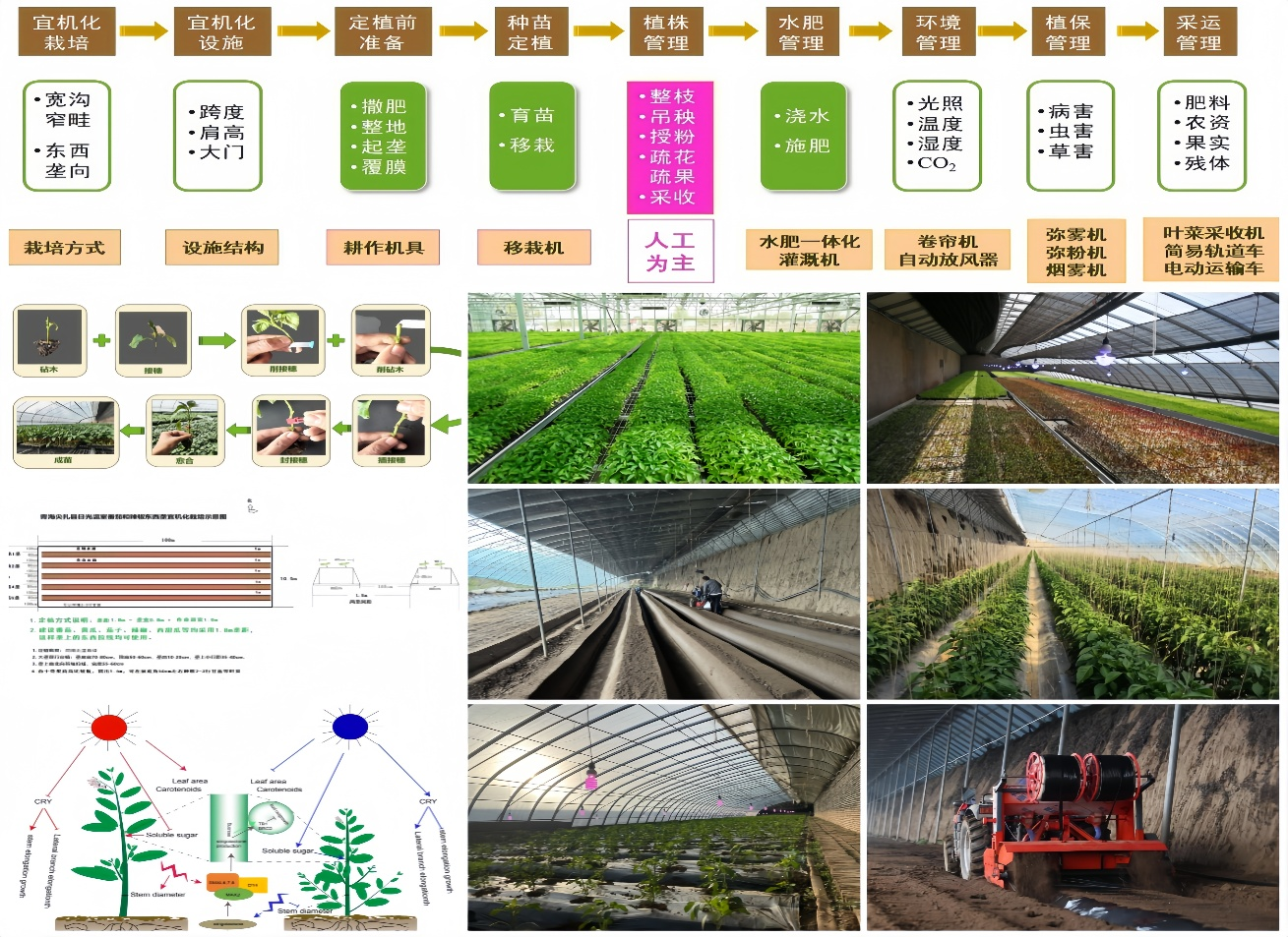 891eb6f880a241c5be1f2215720c3a84.png 891eb6f880a241c5be1f2215720c3a84.png