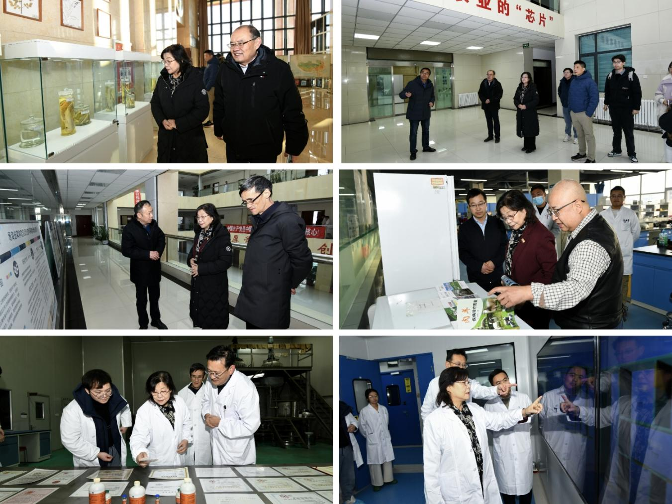 11c797386f5241e19e61ab5920d7c7c2.png 11c797386f5241e19e61ab5920d7c7c2.png