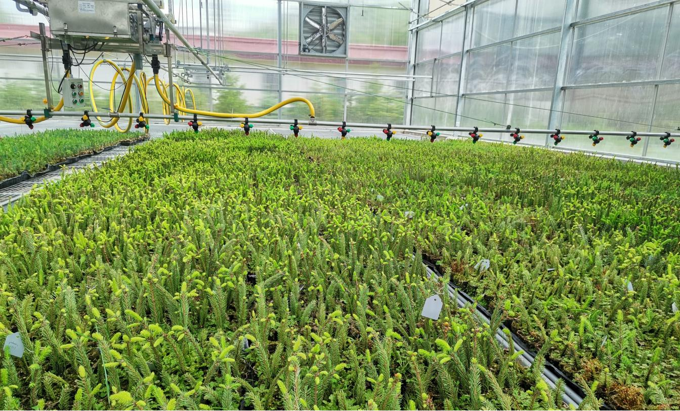 3be71a6a772e42d4b6cbab2b3fc3bd62.png 3be71a6a772e42d4b6cbab2b3fc3bd62.png