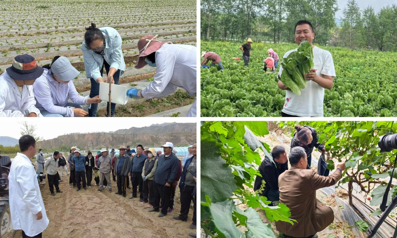 8d4fa509aca9421884820b889683b081.png 8d4fa509aca9421884820b889683b081.png