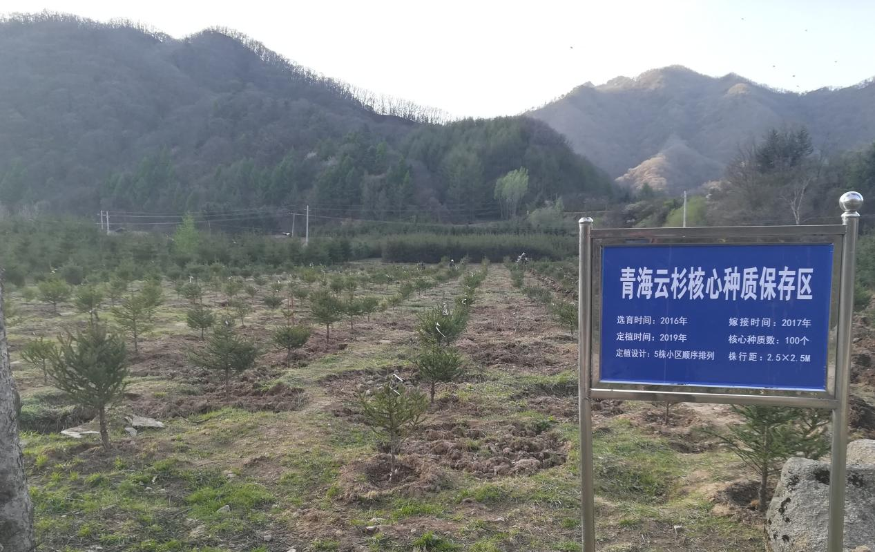 97ae48b4a142499da478b5abd63b5878.png 97ae48b4a142499da478b5abd63b5878.png