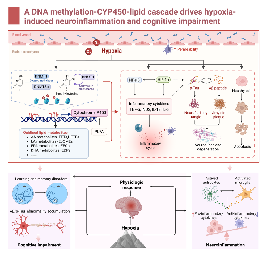 0eebfa8fb71f42e58da8b2cfe0df3c9a.png 0eebfa8fb71f42e58da8b2cfe0df3c9a.png